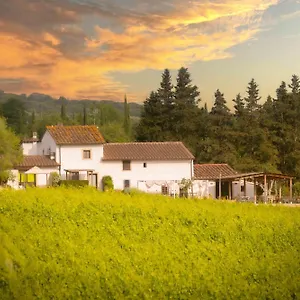 Azienda Agricola I Colli Di Marliano Lastra a Signa